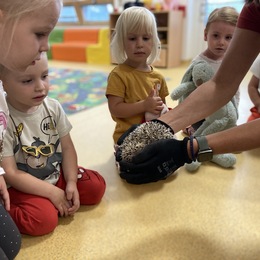 MŠ - Výukový program, Děti na větvi