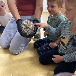 MŠ - Výukový program, Děti na větvi