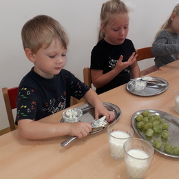 MŠ - sebeobsluha