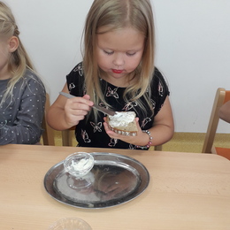 MŠ - sebeobsluha