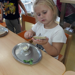 MŠ - sebeobsluha