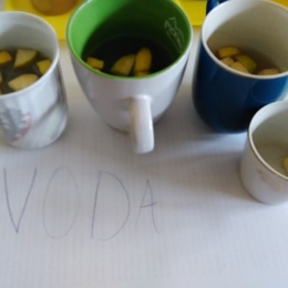 ŠD Jablíčkový týden