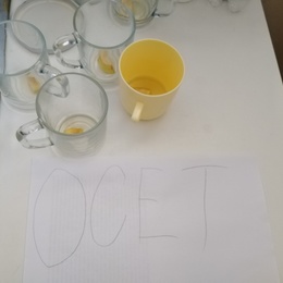 ŠD Jablíčkový týden