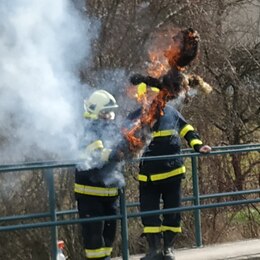MŠ - Morana