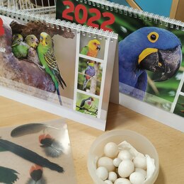 Duben 2023