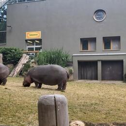 ZOO Ostrava – výlet 4.A, 4.B