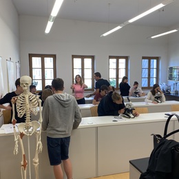 Laboratorní cvičení na Gymnáziu Šternberk
