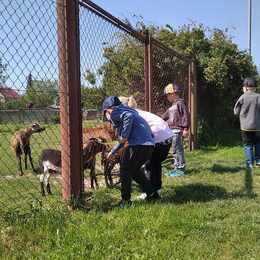MŠ - květen 2024 (1. část)