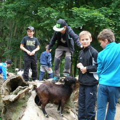 ZOO Svatý Kopeček