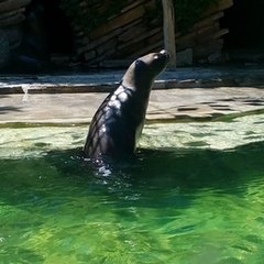 Školní výlet 4.A Zoo Lešná