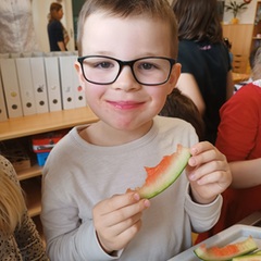 Náhled obrázku