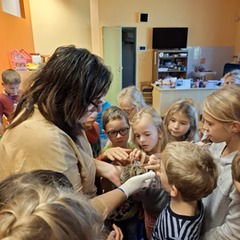 ŠD Poznáváme život ježků