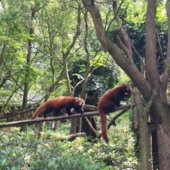 Výlet do ZOO Ostrava 4.A, 4.B